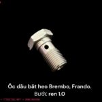 Ốc dầu heo Brembo, Frando
